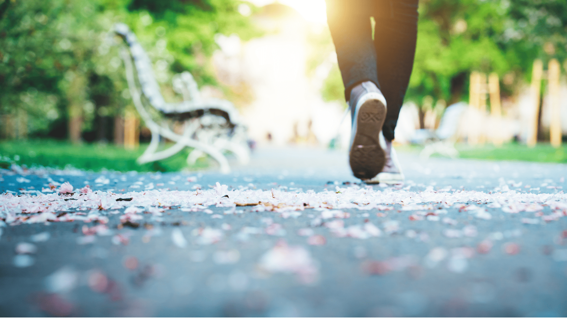 Build Skills.Shape the Future.